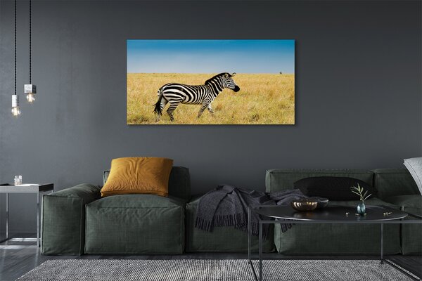 Tablouri canvas caseta Zebra
