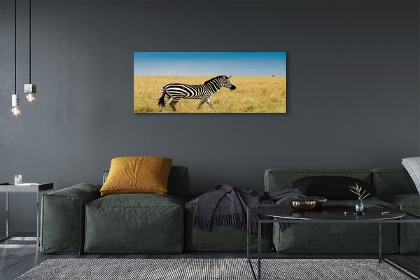 Tablouri canvas caseta Zebra