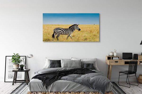 Tablouri canvas caseta Zebra
