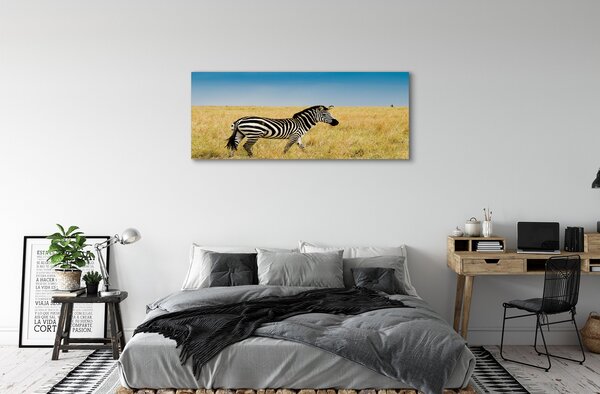 Tablouri canvas caseta Zebra