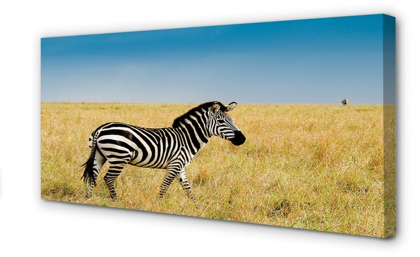 Tablouri canvas caseta Zebra