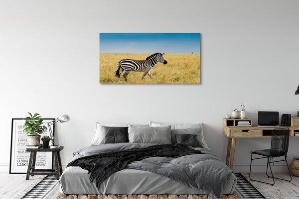 Tablouri canvas caseta Zebra