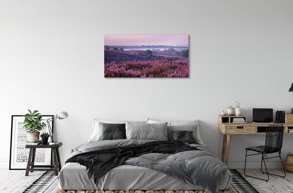 Tablouri canvas Heathers câmp
