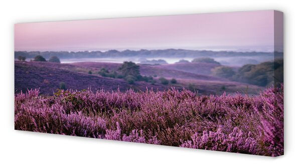 Tablouri canvas Heathers câmp