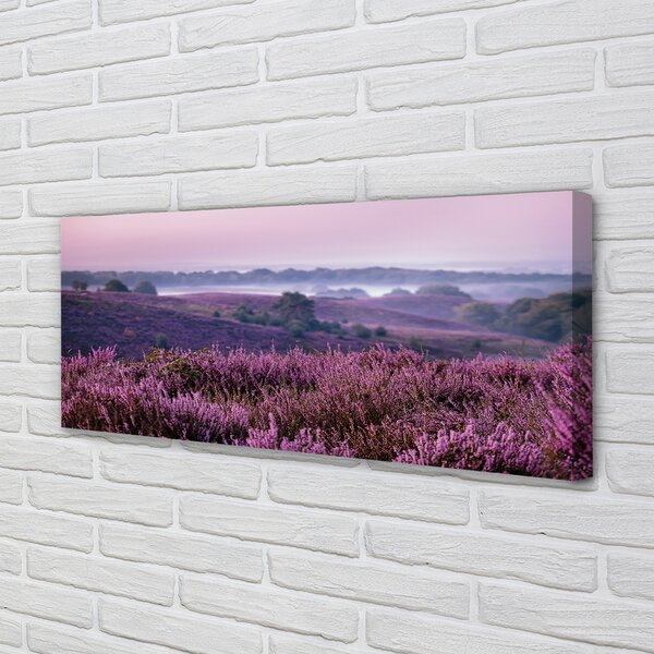 Tablouri canvas Heathers câmp