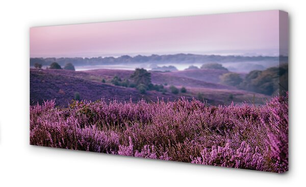 Tablouri canvas Heathers câmp