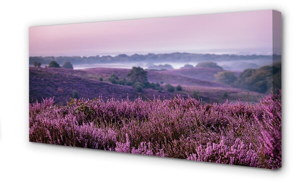 Tablouri canvas Heathers câmp