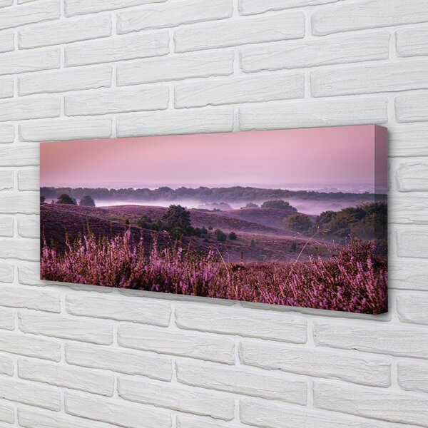 Tablouri canvas Heathers câmp