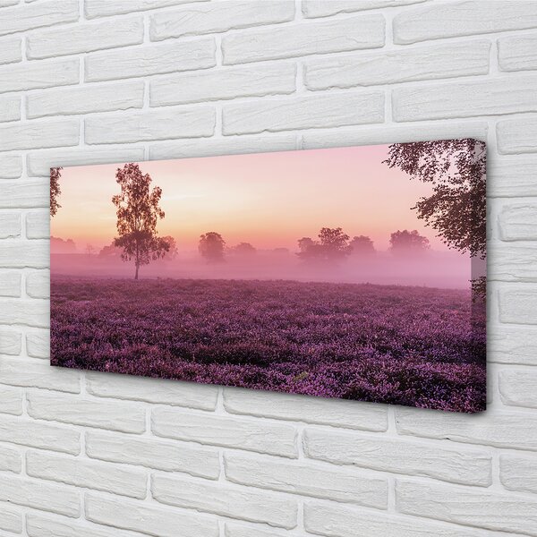 Tablouri canvas Heathers câmp