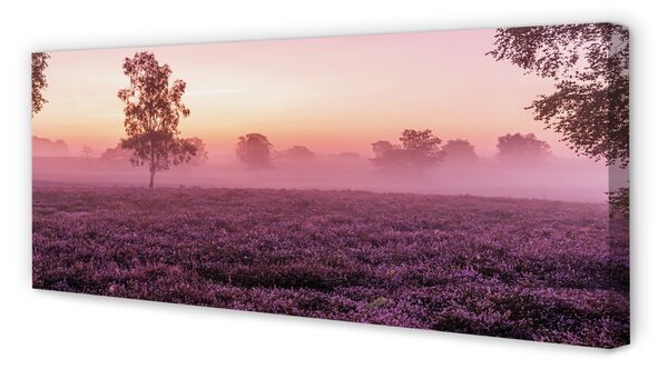 Tablouri canvas Heathers câmp