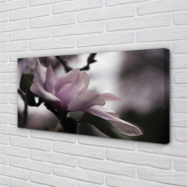 Tablouri canvas Magnolie