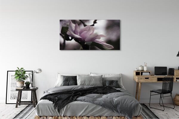 Tablouri canvas Magnolie