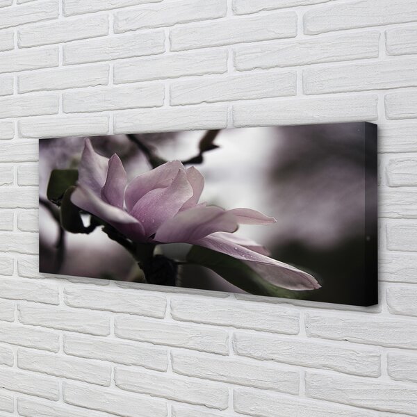 Tablouri canvas Magnolie