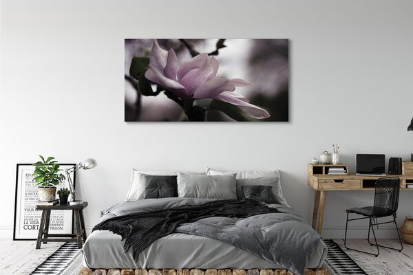 Tablouri canvas Magnolie