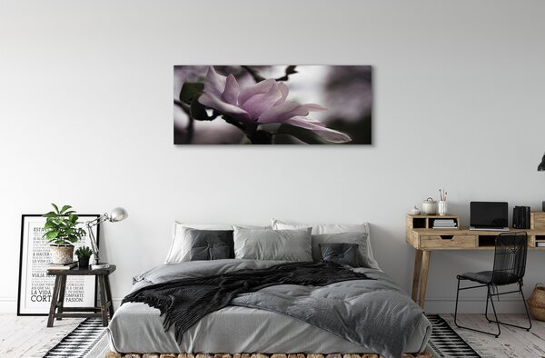 Tablouri canvas Magnolie