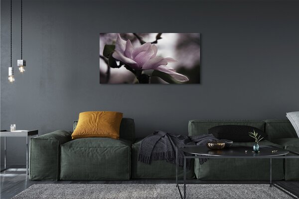 Tablouri canvas Magnolie