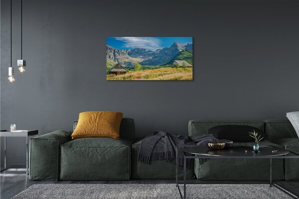Tablouri canvas vile top box
