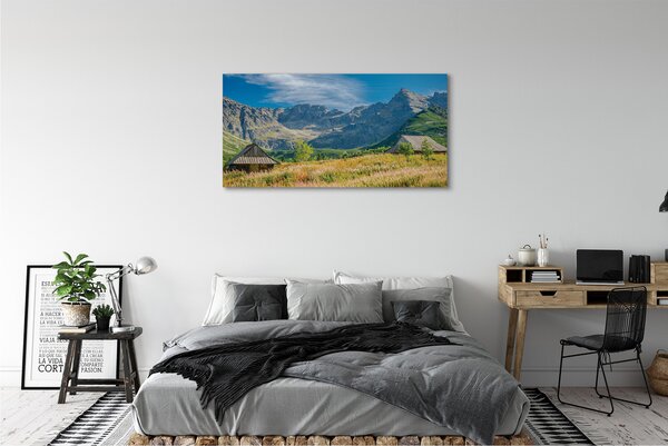 Tablouri canvas vile top box