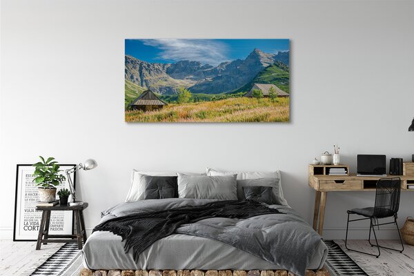 Tablouri canvas vile top box