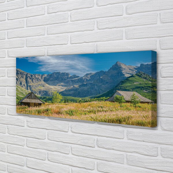 Tablouri canvas vile top box