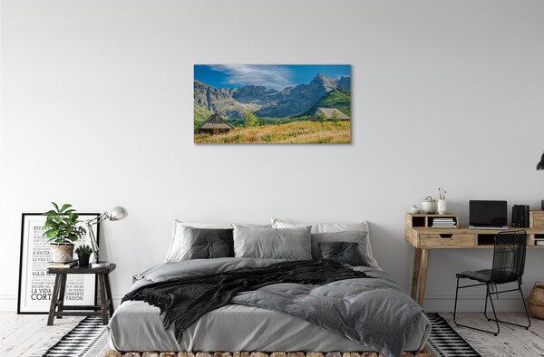 Tablouri canvas vile top box