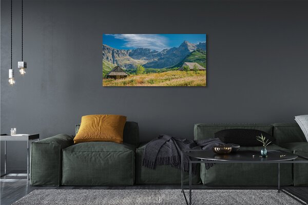 Tablouri canvas vile top box