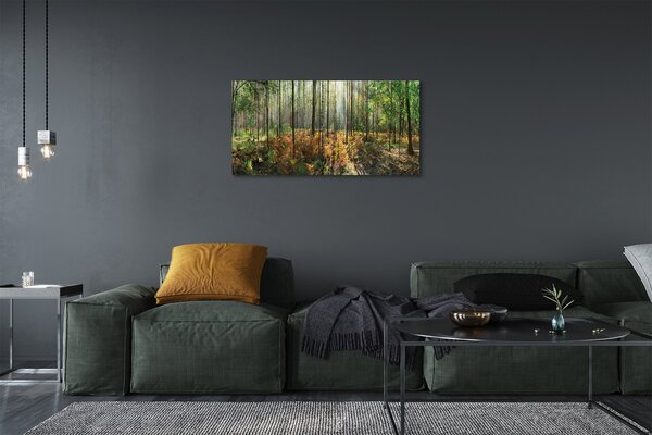 Tablouri canvas copac mesteacăn Pădure