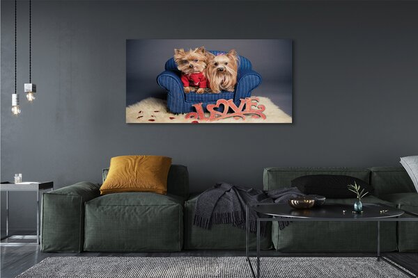 Tablouri canvas Yorkie