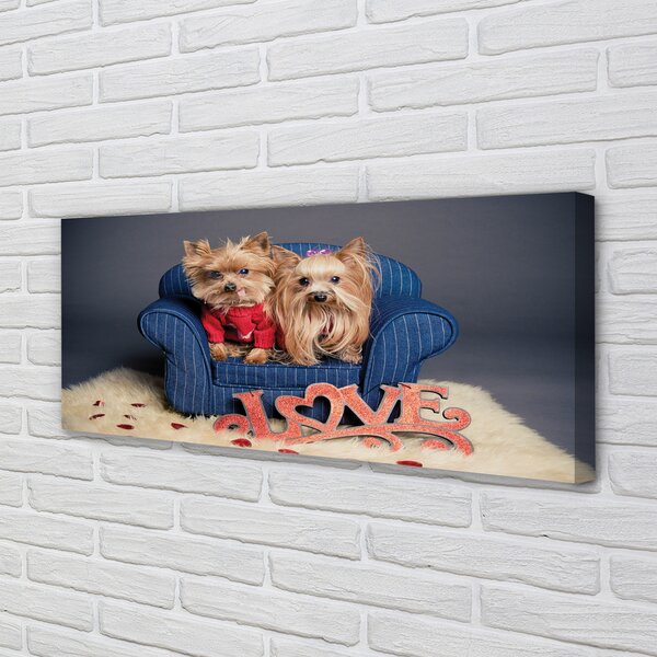 Tablouri canvas Yorkie