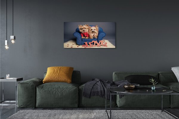 Tablouri canvas Yorkie