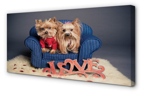 Tablouri canvas Yorkie