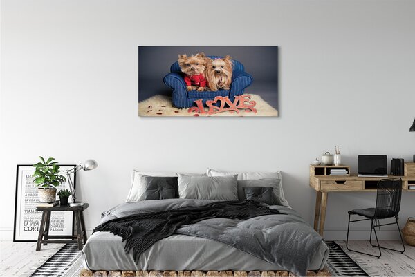 Tablouri canvas Yorkie