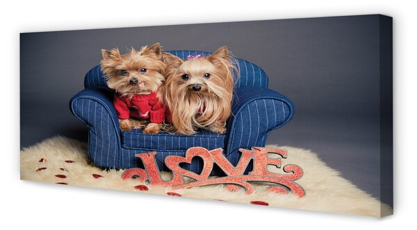 Tablouri canvas Yorkie
