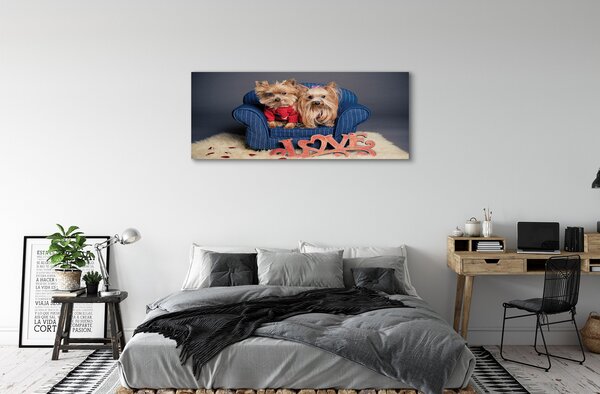 Tablouri canvas Yorkie