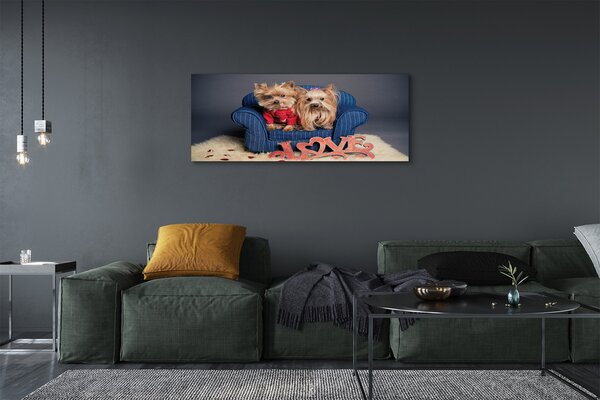 Tablouri canvas Yorkie
