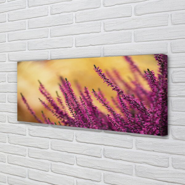 Tablouri canvas flori