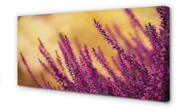 Tablouri canvas flori