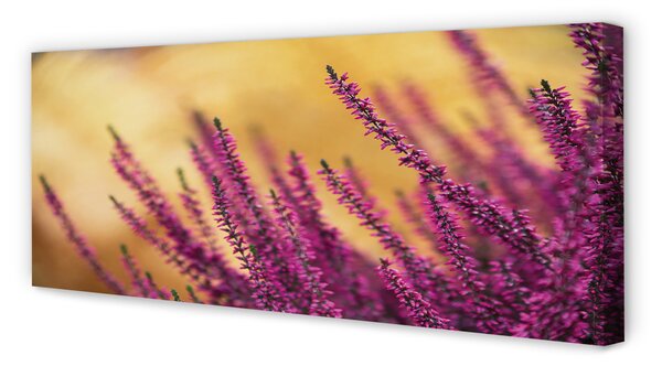 Tablouri canvas flori