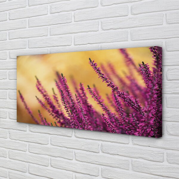 Tablouri canvas flori