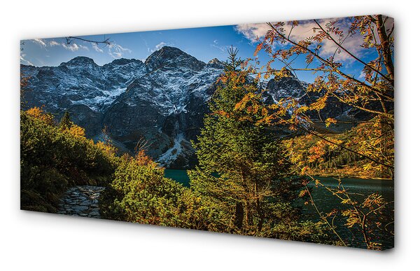 Tablouri canvas lac de munte