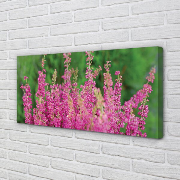 Tablouri canvas flori Heathers