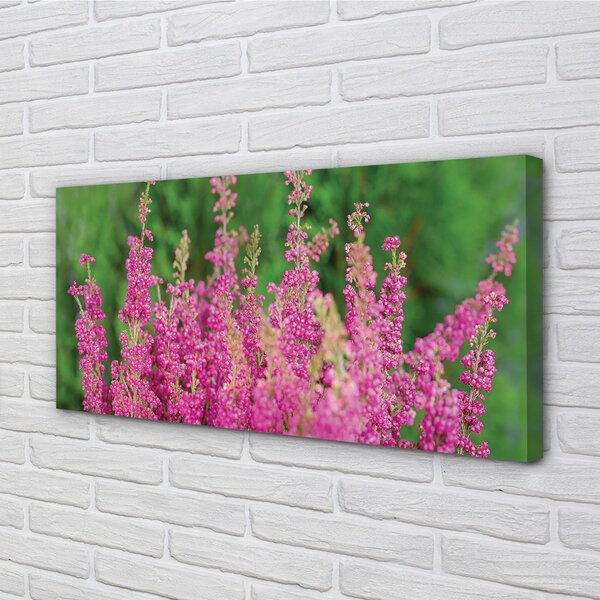 Tablouri canvas flori Heathers