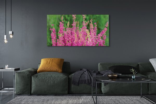 Tablouri canvas flori Heathers