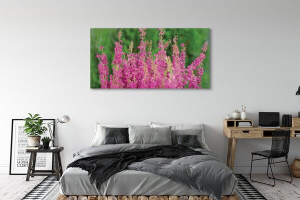 Tablouri canvas flori Heathers