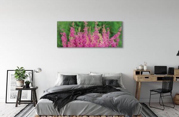 Tablouri canvas flori Heathers
