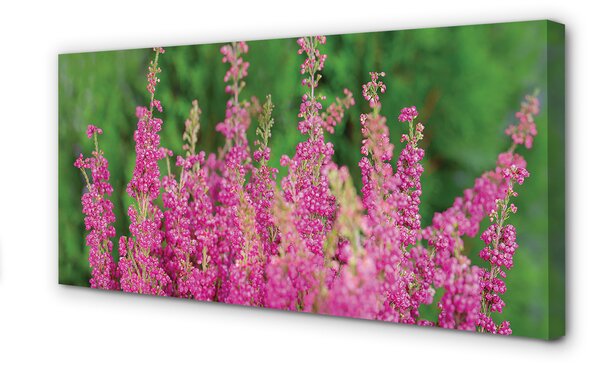 Tablouri canvas flori Heathers