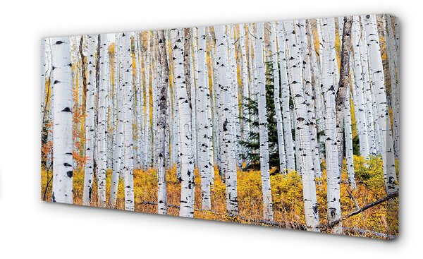 Tablouri canvas toamna mesteacăn