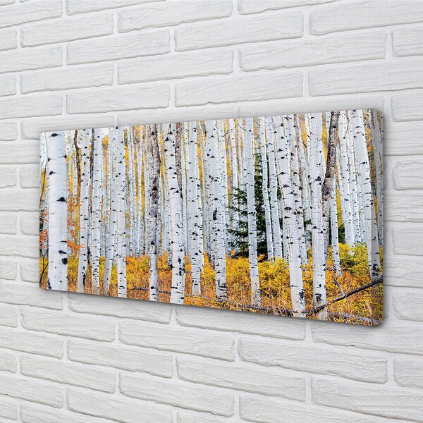 Tablouri canvas toamna mesteacăn