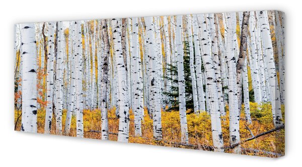Tablouri canvas toamna mesteacăn