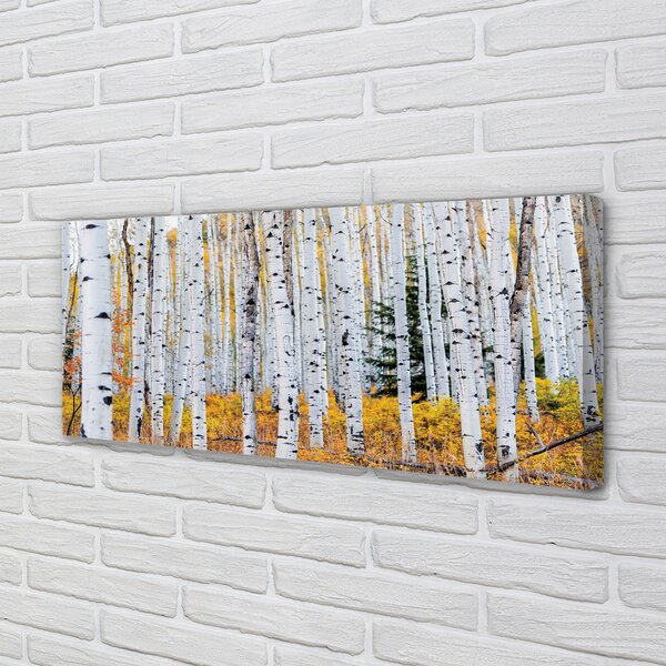 Tablouri canvas toamna mesteacăn